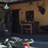 Jambalaya Extérieur