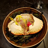 Het Vliegend Tapijt Bebida