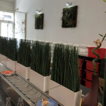 Rolling Sushi À l'intérieur