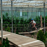 Indoor Mountainbike Exterior