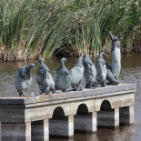 De Roste Muis Extérieur