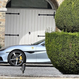 Hen Hen Beringen Extérieur