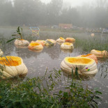 Ark Van Noë Exterior