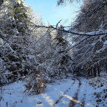 Psychiatric Hospital La Clairière Esterno