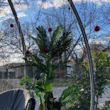 Dal Padrino Exterior