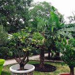 't Spaans Hof Exterior