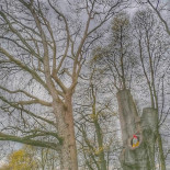 Kasteel Beukenhof Extérieur