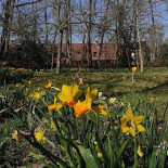 Kasteel Beukenhof Extérieur
