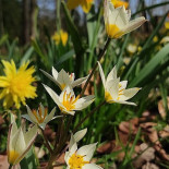 Kasteel Beukenhof Getränk