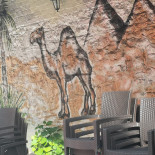 La Médina À l'intérieur