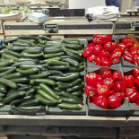 Brüt By Färm Tenbosch Bebida