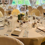 Le Primordia À l'intérieur