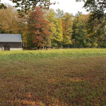 Le Primordia Extérieur