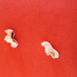 Café De Stoomtram Bebida