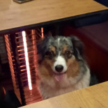 Pita Millenium Carte