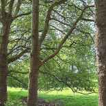 Historische Kloosterhoeve Extérieur