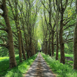 Historische Kloosterhoeve Extérieur