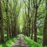 Historische Kloosterhoeve Extérieur