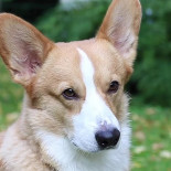 'la Gare ' Extérieur