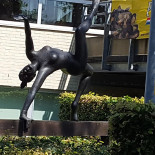 Sportcafé Breeven 2.0 Bebida