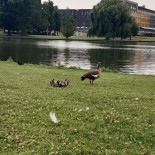 Sportcafé De Treffer Exterior