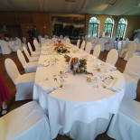 Renard À l'intérieur