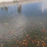 Hof Ter Emstrode Boisson