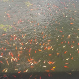 Hof Ter Emstrode Boisson