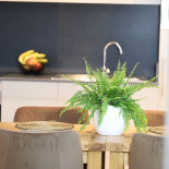 Mr.bernard Vakantie Appartementen Bebida