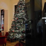 The Monkey Extérieur