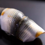 Pizzeria Da Mimmo Lessines Boisson