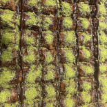 Levent Börek Künefe Exterior