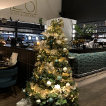 Ozzo Sushi Oriental Exterior