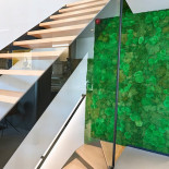 't Grof Zout Bv Extérieur