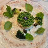 Paddenhouck Nourriture