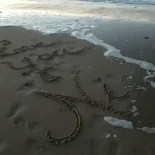 Kursaal Oostende Carta