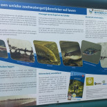 Eetcafé 't Steencaycken Carta