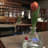 Cardinael À l'intérieur