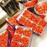 Franchi G Nourriture