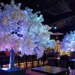 Joyt Antwerpen Inside