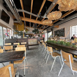 Surfing Elephant Extérieur