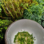 Dinner With The Queen Essen