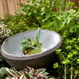 Dinner With The Queen Getränk