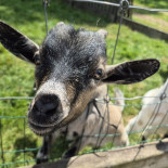 Domein De Putten Exterior