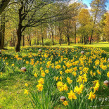 Burgerlijk Deerlijk Exterior