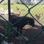 Kabouterland Extérieur