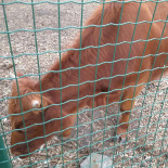 Boudewijn Seapark Bebida