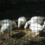 Boudewijn Seapark Exterior