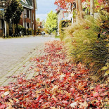 Old Skool Extérieur