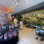 Flora Creaverdi Extérieur